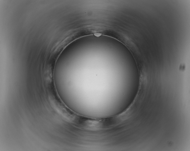 X0000113220170200909241456