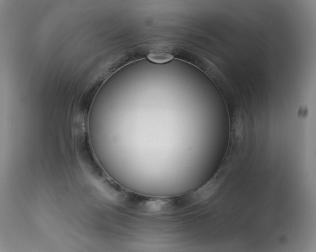 X0000113220172200909241456