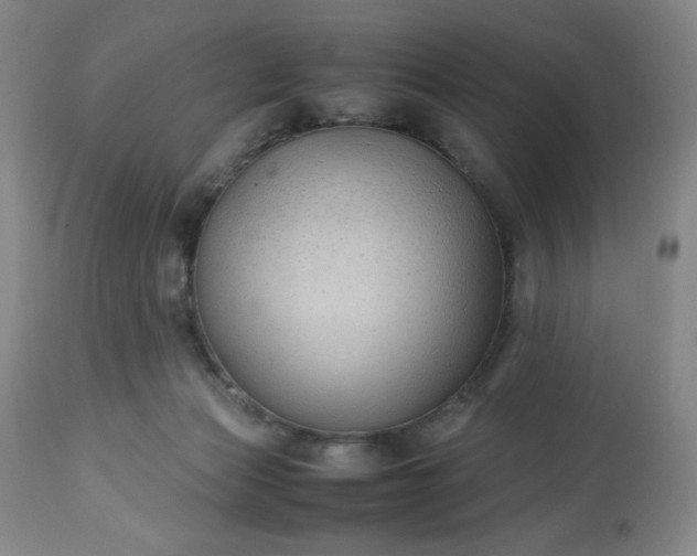 X0000113220173200909241456