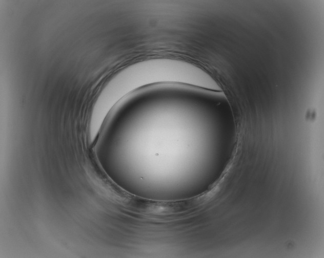 X0000113220174200909241456