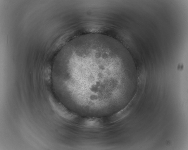 X0000113220175200909241456