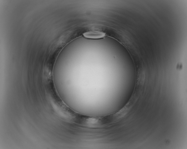 X0000113220176200909241456