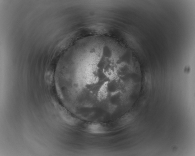 X0000113220177200909241456