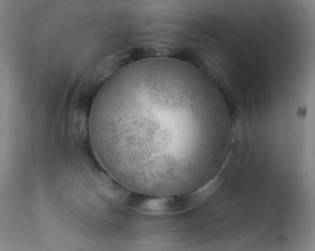 X0000113220178200909241456