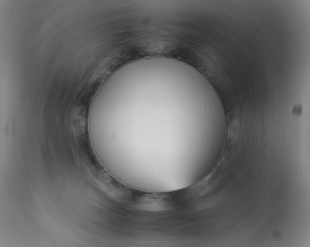 X0000113220179200909241456