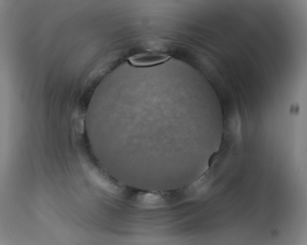 X0000113220180200909241456