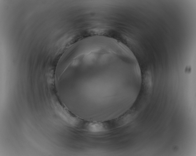 X0000113220181200909241456