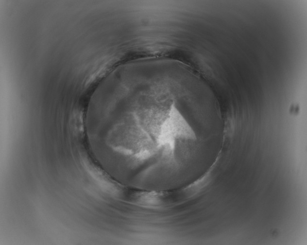 X0000113220182200909241456