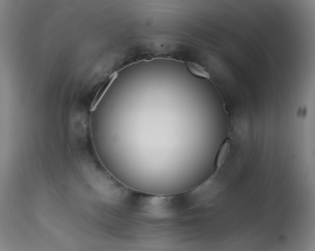 X0000113220184200909241456