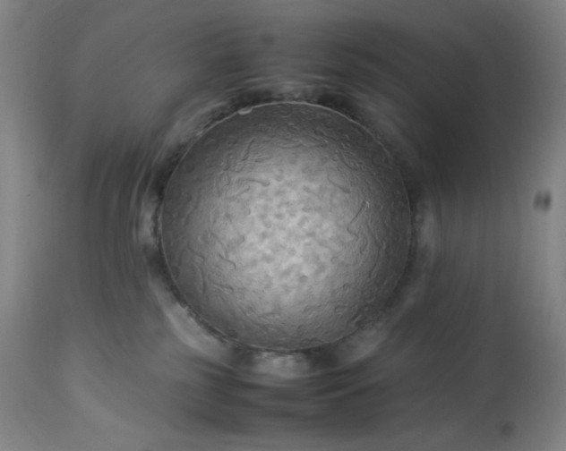 X0000113220185200909241456