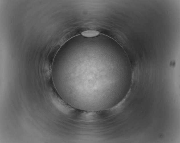 X0000113220186200909241456