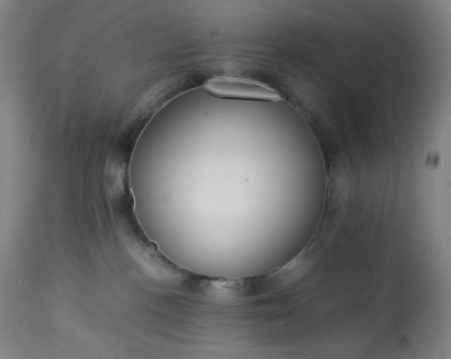 X0000113220188200909241456