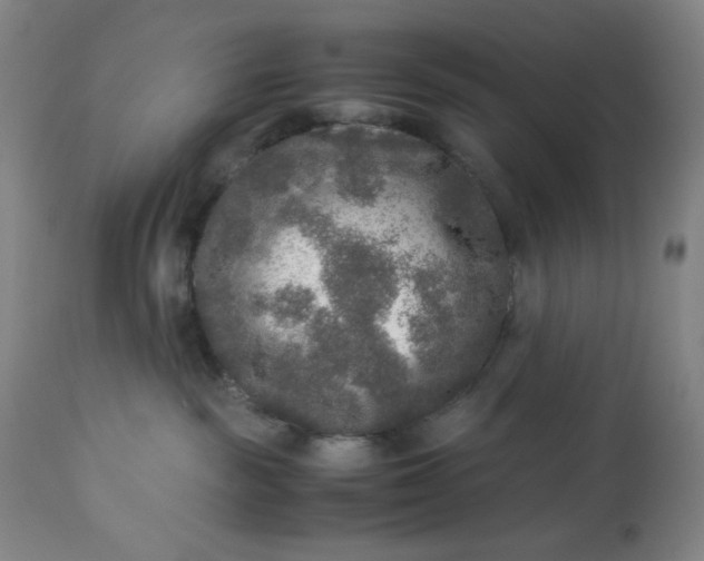 X0000113220189200909241456