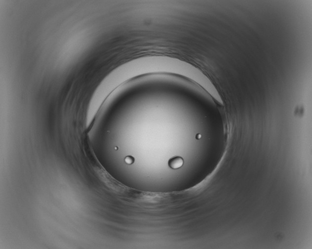 X0000113220190200909241456