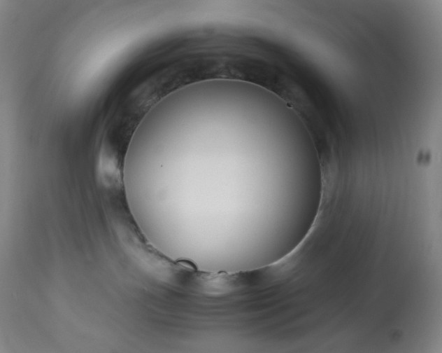 X0000113220191200909241456