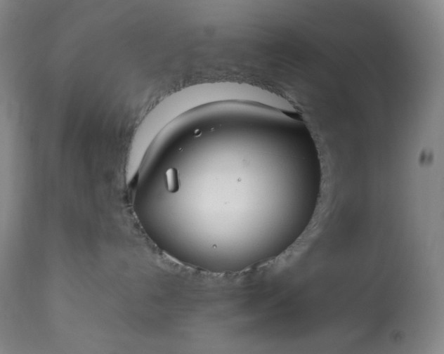 X0000113220192200909241456