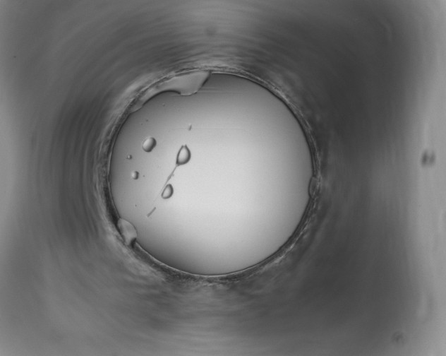 X0000113220193200909241456