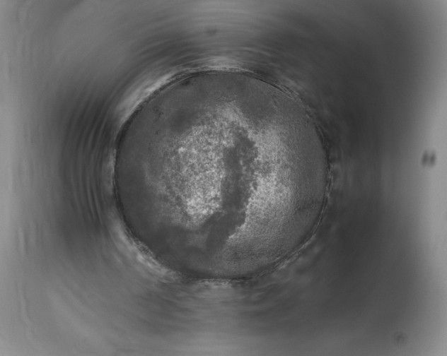 X0000113220194200909241456