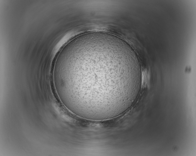 X0000113220195200909241456