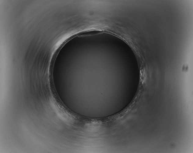 X0000113220196200909241456