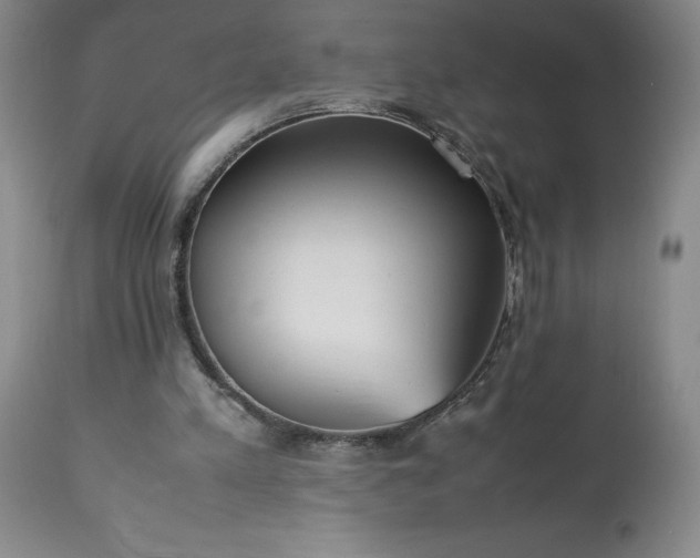 X0000113220197200909241456