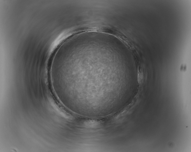 X0000113220198200909241456