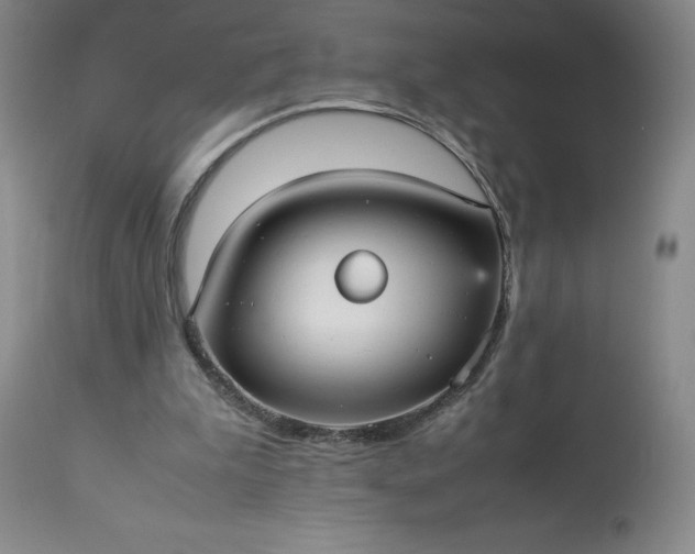 X0000113220199200909241456