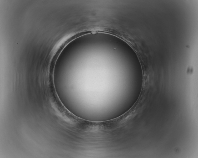 X0000113220200200909241456