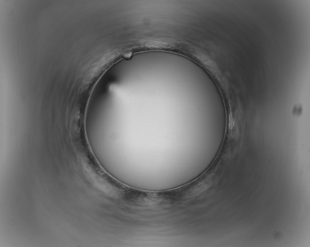 X0000113220201200909241456