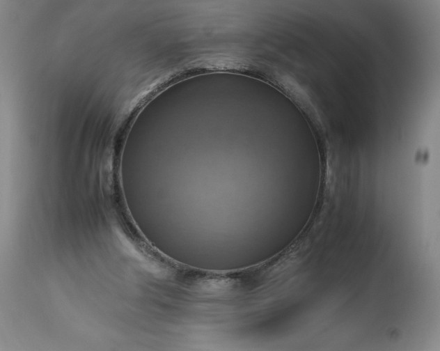 X0000113220202200909241456