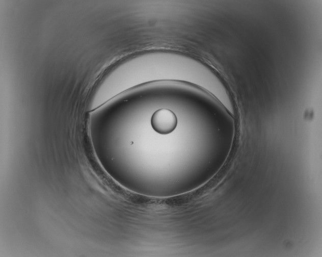 X0000113220203200909241456