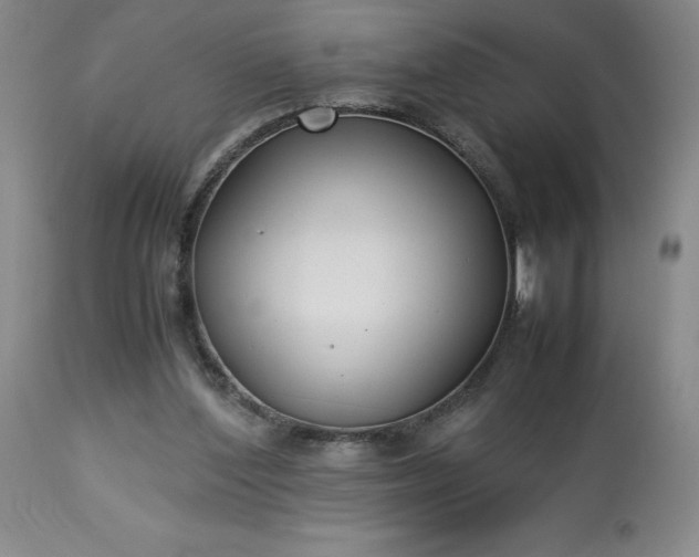 X0000113220204200909241456