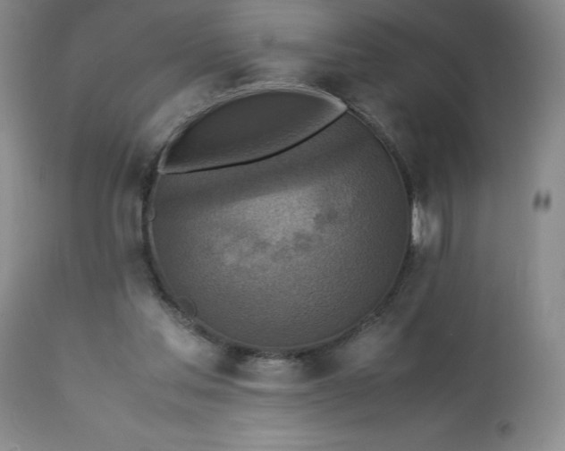 X0000113220205200909241456