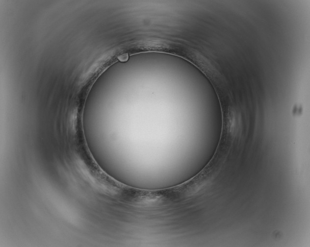 X0000113220206200909241456