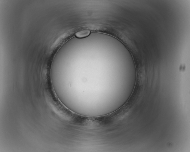 X0000113220207200909241455