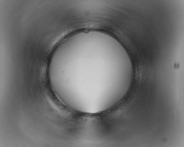 X0000113220208200909241455