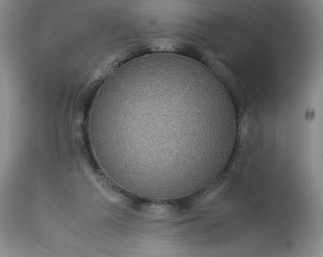 X0000113220209200909241455