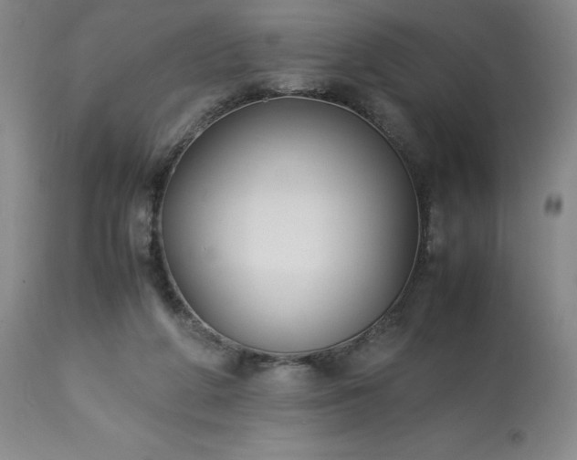 X0000113220210200909241455