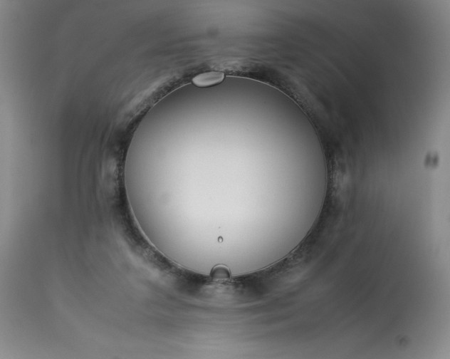 X0000113220211200909241455