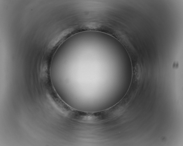 X0000113220212200909241455