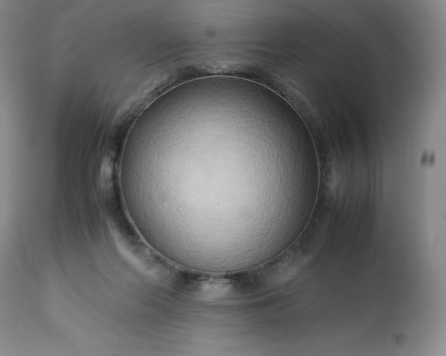 X0000113220214200909241455