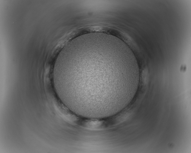 X0000113220217200909241455