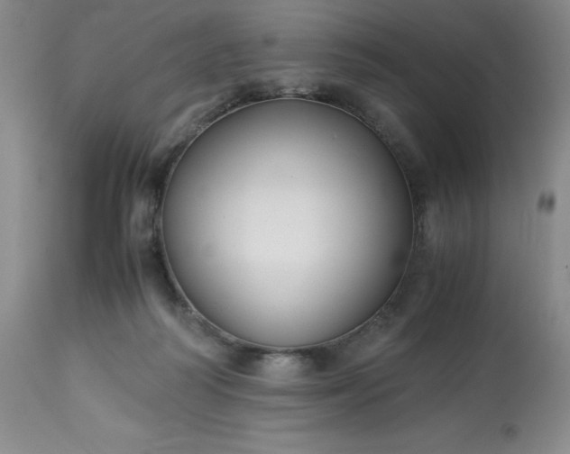 X0000113220218200909241455