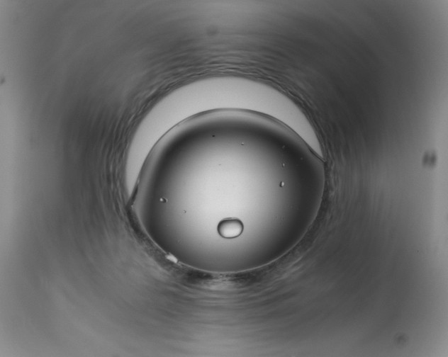 X0000113220219200909241455