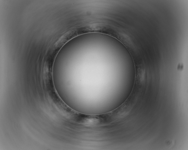 X0000113220220200909241455