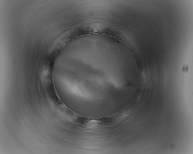 X0000113220222200909241455