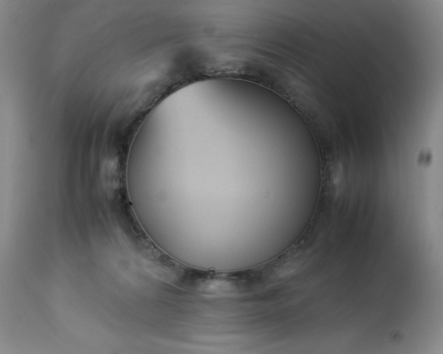 X0000113220224200909241455