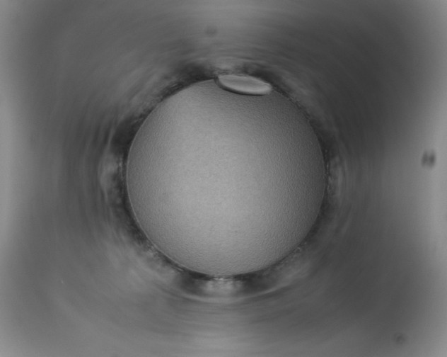 X0000113220225200909241455