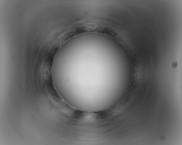 X0000113220226200909241455