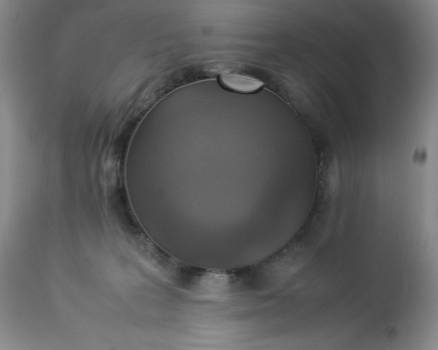 X0000113220227200909241455